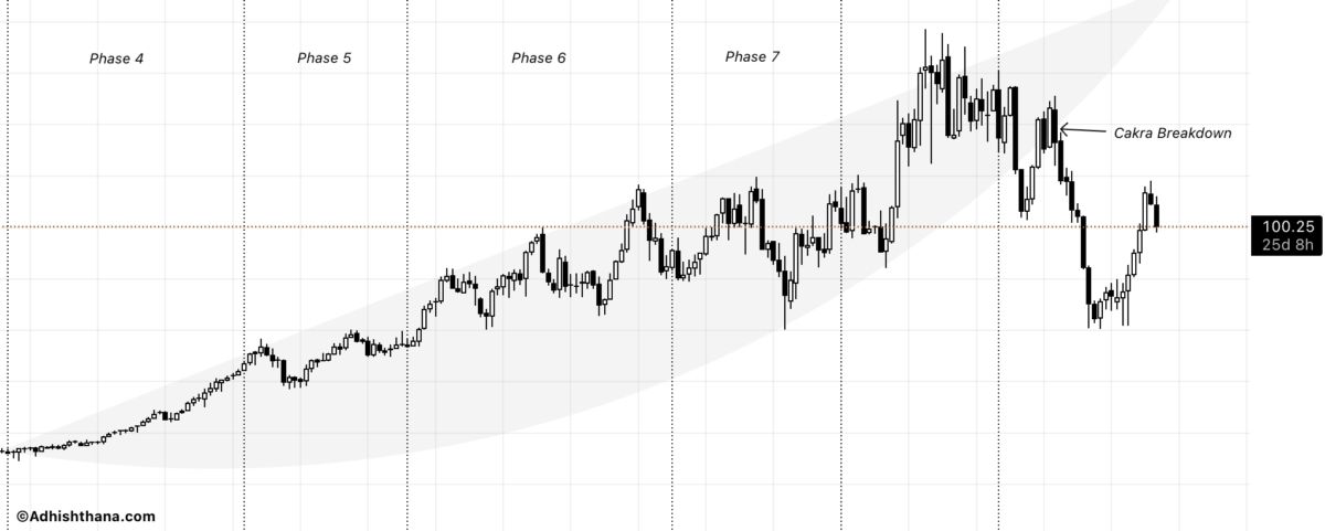 Fig.1 Dollar Tree Cakra Breakdown (Source: Adhishthana.com)